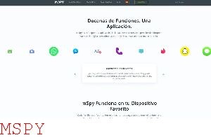 Do Mspy Work