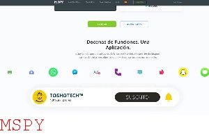 What Is an Unauthorized Invalid Api Key on Mspy