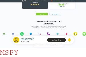 How Mspy Works