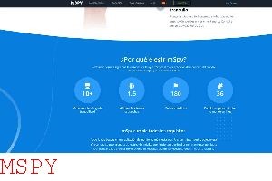 What Do You Need to Use Mspy