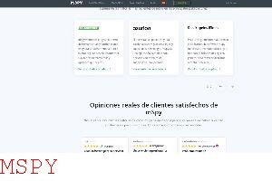 What Is Needed to Install Mspy