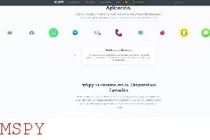 How to View Mspy Keylogger Logs