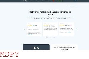 What Do You Need for Mspy