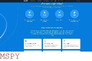 How to Defend Mspy