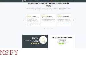 How to Deactivate Mspy