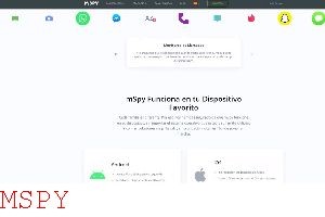 How to Make Sure Mspy Is Working
