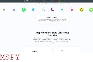 How Long Does Mspy Take to Install