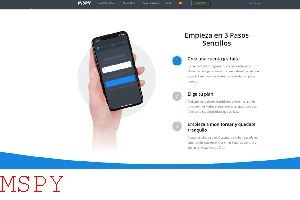What Does Mspy Look Like or Show Up as on Target Phone/nux/follow_topic