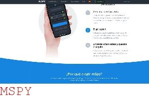 How Long Can Phone Be Out of Service Area With Mspy