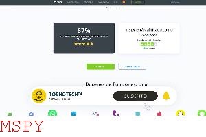 How Does Mspy for Phones Work