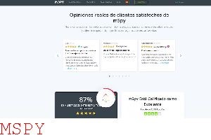 Is Mspy Detectable