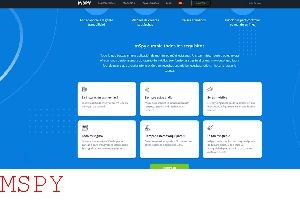 Does Mspy Show an Icon