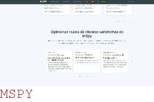 How Can I Use Mspy