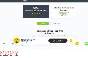 Is Mspy Down