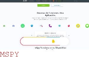 How to Scan Phone for Mspy