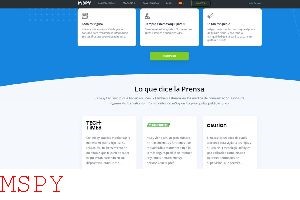 How to Delete Mspy