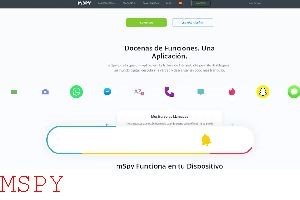 Do You Need Social Media Login to Use Mspy