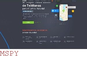 Does Mspy Really Work