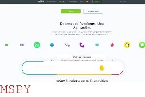 How to Work Mspy