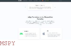 What Does the Mspy App Look Like