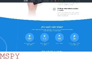 How to Load Mspy