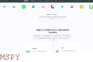 How Does Mspy Lite Work