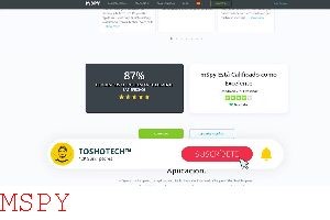 How Are Mspy or Flexispy Installed?