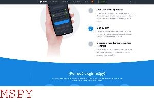 What Can You See on Mspy