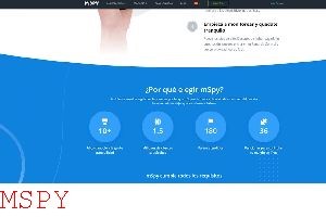 What Information Do You Need for Mspy