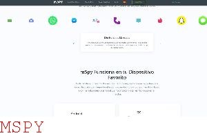 Is Mspy a Vpn