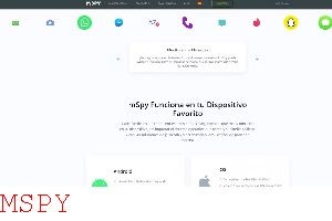 How Much Is Mspy Premium