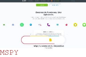 How to Load Mspy Youtube