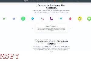 How to Load Mspy on Target Phone