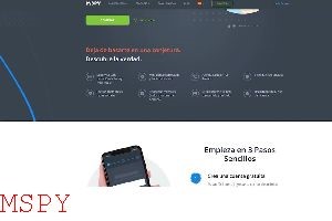 Is Mspy Fake