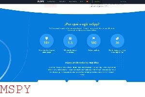 What Does Mspy Cost