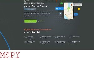 How Does Mspy Works