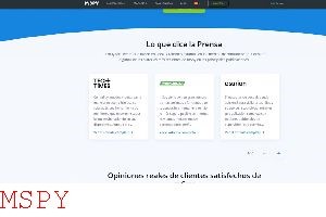 How Much Is the Mspy App