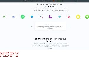 How Long Does It Take for Mspy to Work