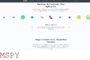 Can Mspy Be Installed Without You Knowing