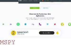 Why Is Mspy Not Working