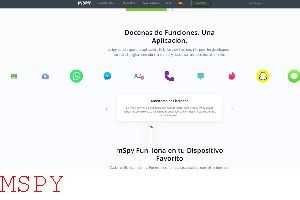 How It Is Works Mspy