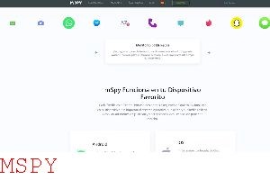 Who Makes Mspy