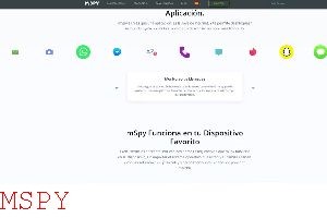 Why Does Mspy Not Updating