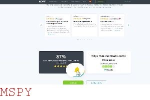 What Do I Need to Use Mspy