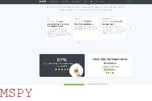 Can Mspy Mointor Keystrokes When on Facebook