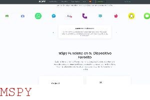 What You Need for Mspy
