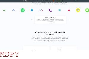 How Mspy App Works