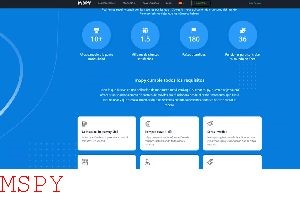 Mspy How It Works
