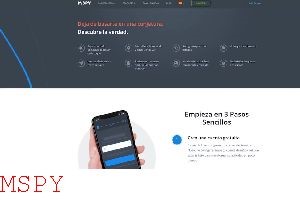 How Do You Install Mspy