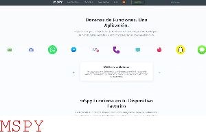 How Do I Get Mspy to Work